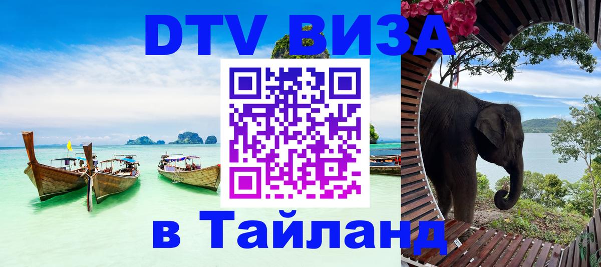 DTV (ДТВ) visa Таиланд Амстердам 